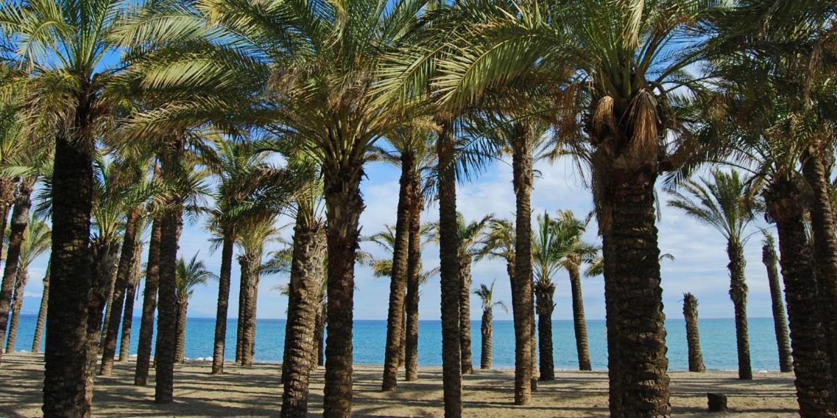 Apartamento Carole Playa Bajondillo Torremolinos Beach - Playa A 30 Segundos - Wifi - Parking - Terraza Διαμέρισμα Εξωτερικό φωτογραφία